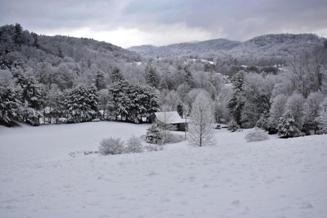 Iron Mountain Lodge - Beautiful Cabin With Forest & Mountain Views! Butler Exteriér fotografie